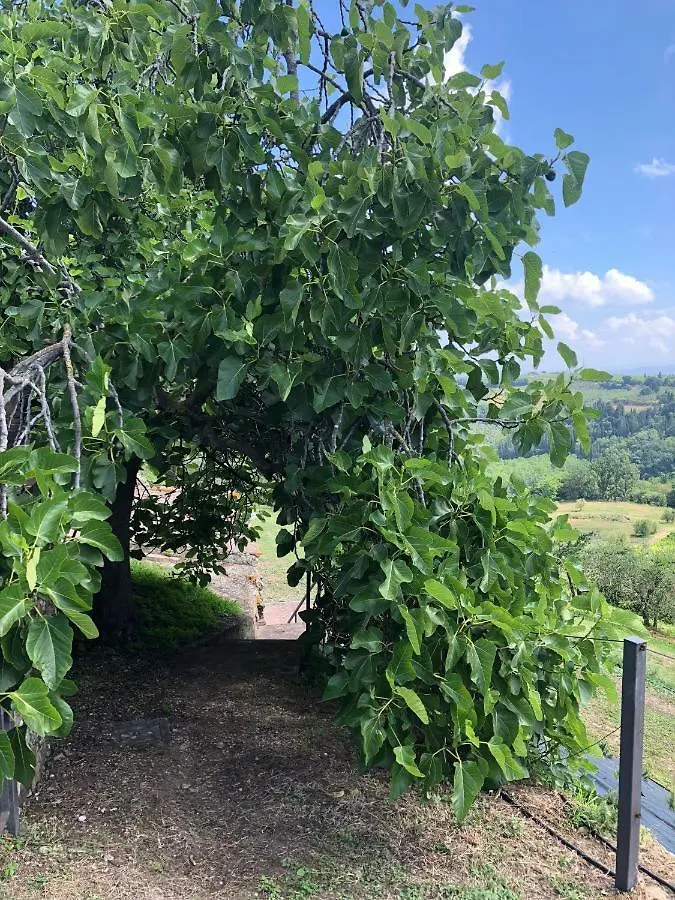 Casa Di Romano, La Piazzetta Marcialla Holiday home